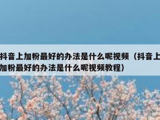 抖音上加粉最好的办法是什么呢视频（抖音上加粉最好的办法是什么呢视频教程）