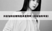 抖音加粉丝赚钱是真是假啊（抖音加粉项目）