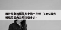 国外服务器租赁多少钱一年啊（b300服务器租赁国内公司价格多少）
