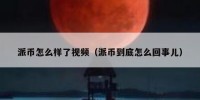 派币怎么样了视频（派币到底怎么回事儿）