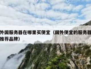 外国服务器在哪里买便宜（国外便宜的服务器推荐品牌）