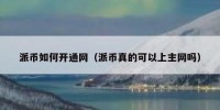派币如何开通网（派币真的可以上主网吗）