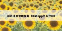 派币注册流程视频（派币app怎么注册）