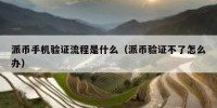 派币手机验证流程是什么（派币验证不了怎么办）