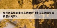 限号怎么处罚重庆车辆通行（重庆车辆限号被拍怎么处罚）