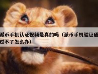 派币手机认证视频是真的吗（派币手机验证通过不了怎么办）