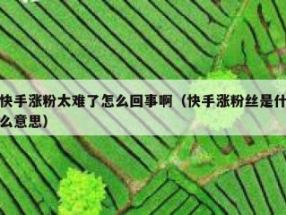 快手涨粉太难了怎么回事啊（快手涨粉丝是什么意思）