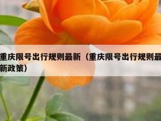 重庆限号出行规则最新（重庆限号出行规则最新政策）