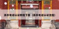 派币电话认证教程下载（派币电话认证流程）