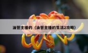 油管主播的（油管主播的生活2攻略）