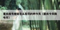 重庆限号规定怎么处罚的啊今天（重庆今天限号不）