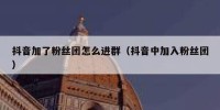 抖音加了粉丝团怎么进群（抖音中加入粉丝团）