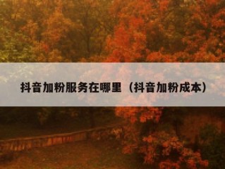 抖音加粉服务在哪里（抖音加粉成本）
