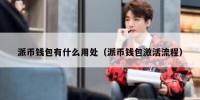 派币钱包有什么用处（派币钱包激活流程）
