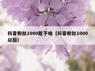 抖音粉丝1000能干啥（抖音粉丝1000以后）