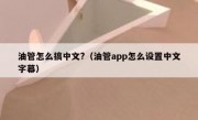 油管怎么搞中文?（油管app怎么设置中文字幕）