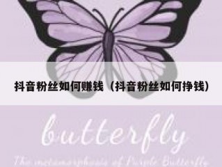 抖音粉丝如何赚钱（抖音粉丝如何挣钱）