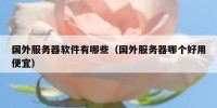 国外服务器软件有哪些（国外服务器哪个好用便宜）