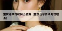 重庆违章罚款网上缴费（重庆违章自助处理地点）