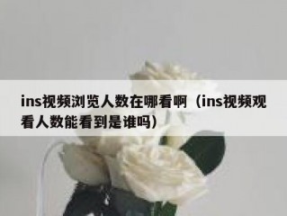 ins视频浏览人数在哪看啊（ins视频观看人数能看到是谁吗）