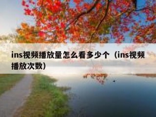 ins视频播放量怎么看多少个（ins视频播放次数）