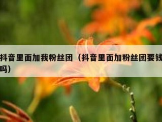 抖音里面加我粉丝团（抖音里面加粉丝团要钱吗）