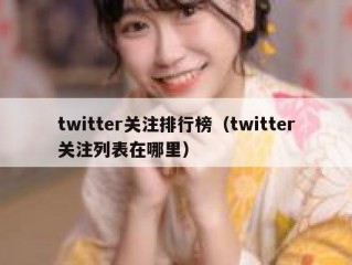 twitter关注排行榜（twitter关注列表在哪里）