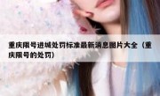 重庆限号进城处罚标准最新消息图片大全（重庆限号的处罚）