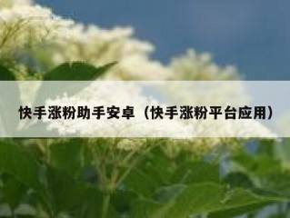 快手涨粉助手安卓（快手涨粉平台应用）