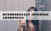 国外免费服务器域名怎么弄（国外免费网站域名服务器查询的方法）