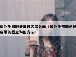 国外免费服务器域名怎么弄（国外免费网站域名服务器查询的方法）