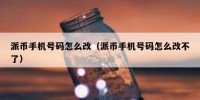 派币手机号码怎么改（派币手机号码怎么改不了）