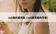 nat国内服务器（nat服务器的作用）