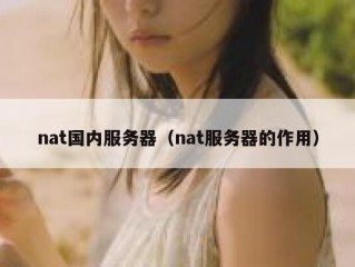 nat国内服务器（nat服务器的作用）