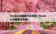 facebook股票今日走势（facebook股票走势图）