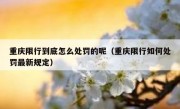 重庆限行到底怎么处罚的呢（重庆限行如何处罚最新规定）