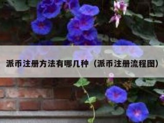 派币注册方法有哪几种（派币注册流程图）