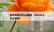 如何利用tiktok赚钱（tiktok上怎么赚钱）