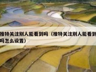 推特关注别人能看到吗（推特关注别人能看到吗怎么设置）