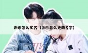 派币怎么实名（派币怎么更改名字）