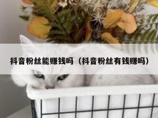 抖音粉丝能赚钱吗（抖音粉丝有钱赚吗）
