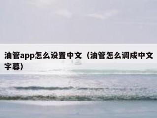油管app怎么设置中文（油管怎么调成中文字幕）