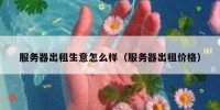 服务器出租生意怎么样（服务器出租价格）