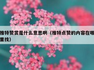 推特赞赏是什么意思啊（推特点赞的内容在哪里找）