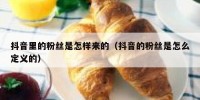 抖音里的粉丝是怎样来的（抖音的粉丝是怎么定义的）