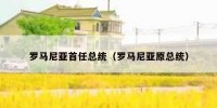 罗马尼亚首任总统（罗马尼亚原总统）