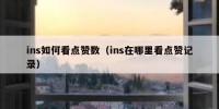 ins如何看点赞数（ins在哪里看点赞记录）