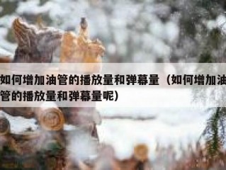 如何增加油管的播放量和弹幕量（如何增加油管的播放量和弹幕量呢）