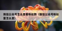 微信公众号怎么查看粉丝数（微信公众号粉丝量怎么查）