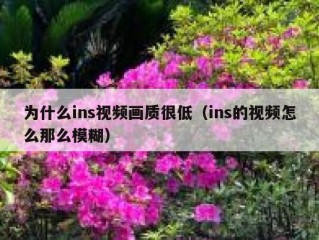 为什么ins视频画质很低（ins的视频怎么那么模糊）